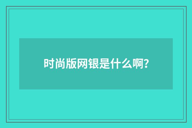 时尚版网银是什么啊？