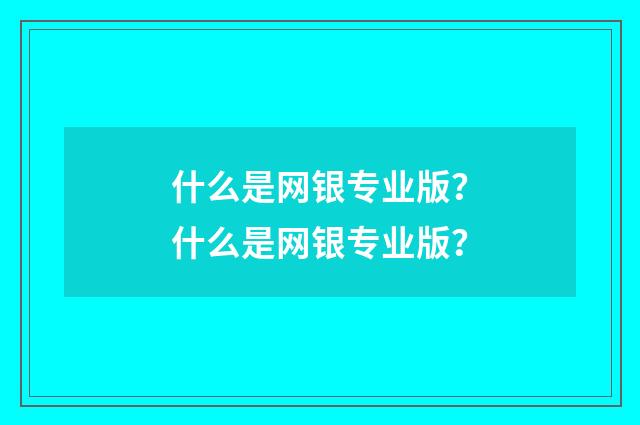 什么是网银专业版？什么是网银专业版？