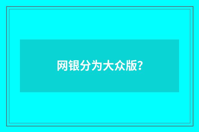 网银分为大众版？