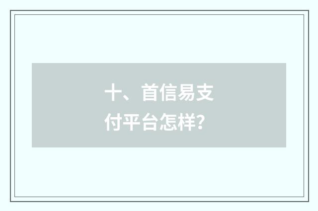 十、首信易支付平台怎样？