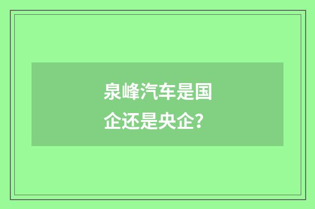 泉峰汽车是国企还是央企？