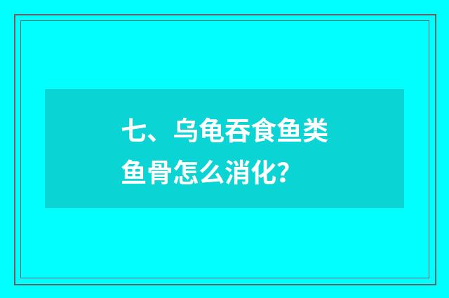 七、乌龟吞食鱼类鱼骨怎么消化？