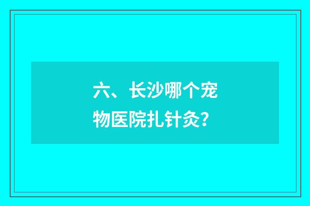 六、长沙哪个宠物医院扎针灸?