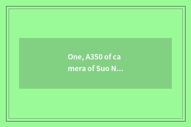 One, A350 of camera of Suo Ni number now how many money?