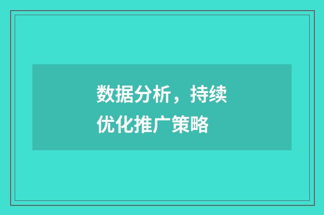 数据分析，持续优化推广策略