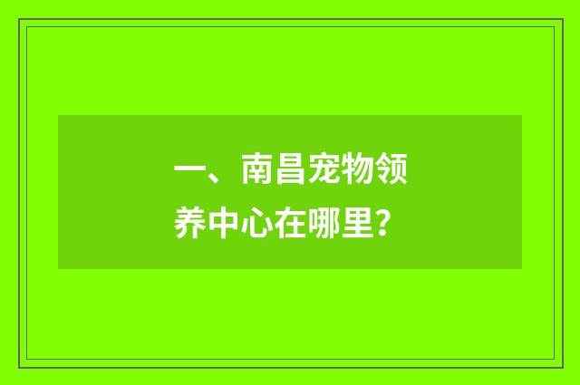 一、南昌宠物领养中心在哪里？