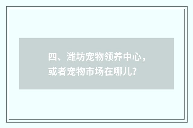 四、潍坊宠物领养中心，或者宠物市场在哪儿？