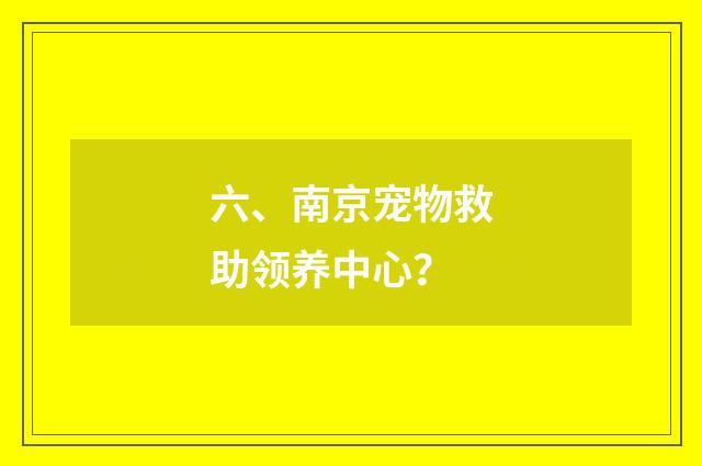六、南京宠物救助领养中心？