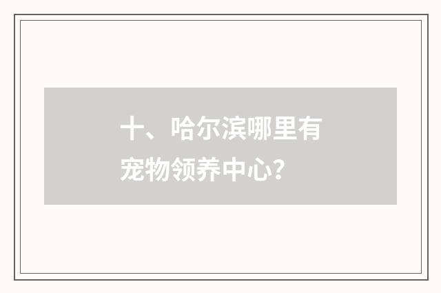 十、哈尔滨哪里有宠物领养中心？