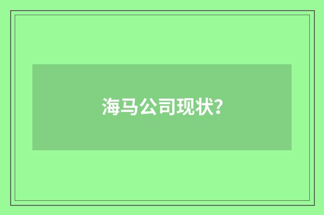 海马公司现状？