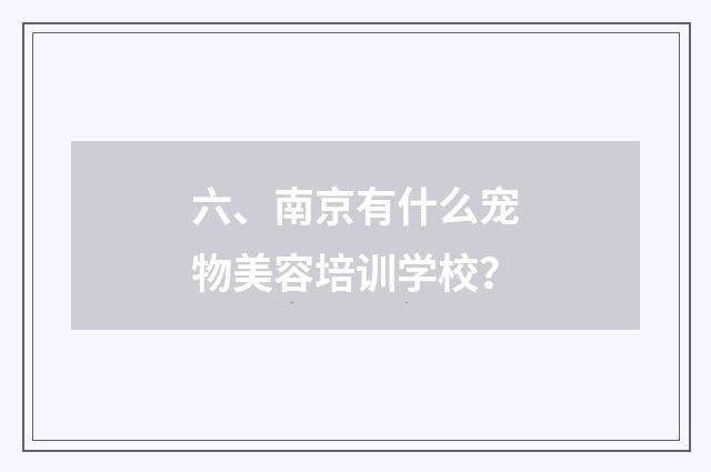 六、南京有什么宠物美容培训学校？
