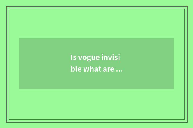 Is vogue invisible what are the advantage of the door and defect?
