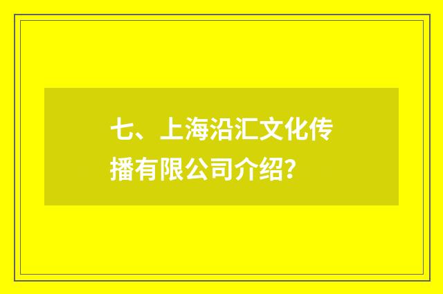 七、上海沿汇文化传播有限公司介绍？