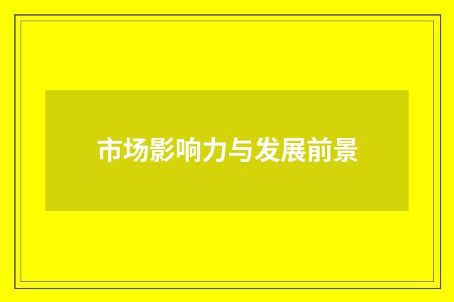 市场影响力与发展前景