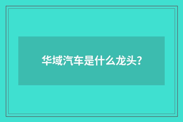 华域汽车是什么龙头？