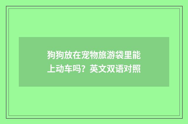 狗狗放在宠物旅游袋里能上动车吗？英文双语对照