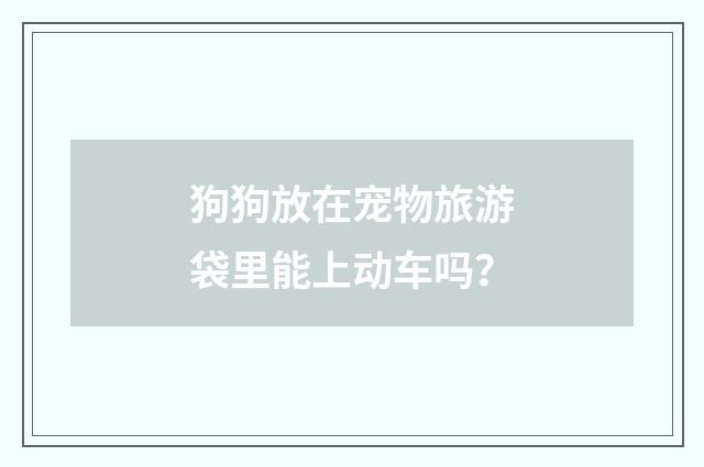 狗狗放在宠物旅游袋里能上动车吗？
