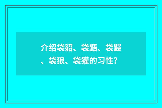 介绍袋貂、袋鼯、袋鼹、袋狼、袋獾的习性?