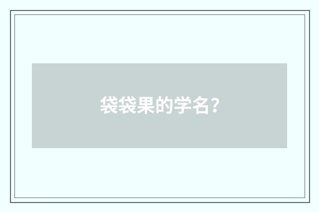 袋袋果的学名？