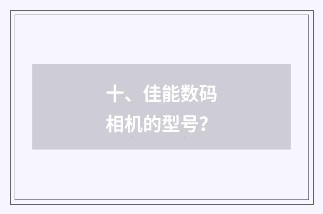 十、佳能数码相机的型号？