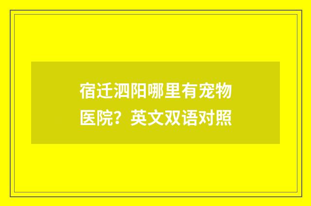 宿迁泗阳哪里有宠物医院？英文双语对照