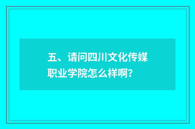 五、请问四川文化传媒职业学院怎么样啊？