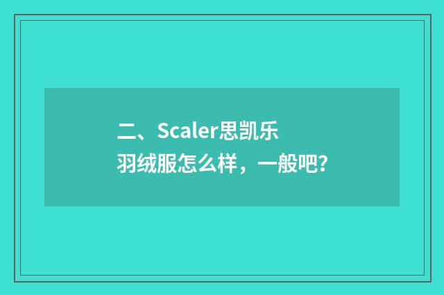 二、Scaler思凯乐羽绒服怎么样，一般吧？