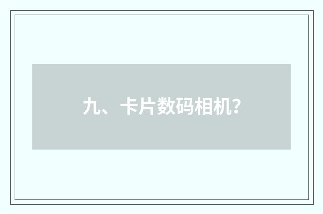 九、卡片数码相机？