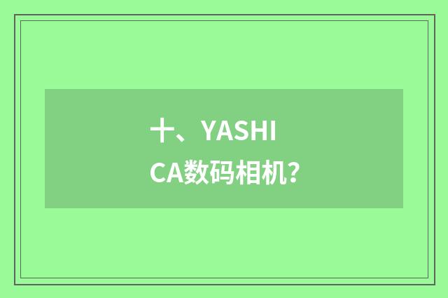 十、YASHICA数码相机？
