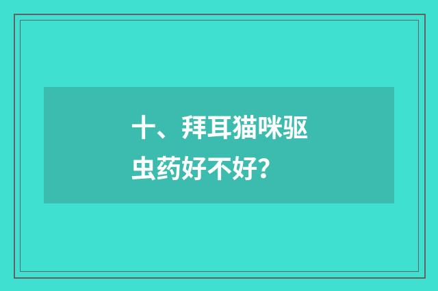 十、拜耳猫咪驱虫药好不好？