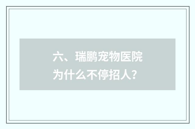 六、瑞鹏宠物医院为什么不停招人？