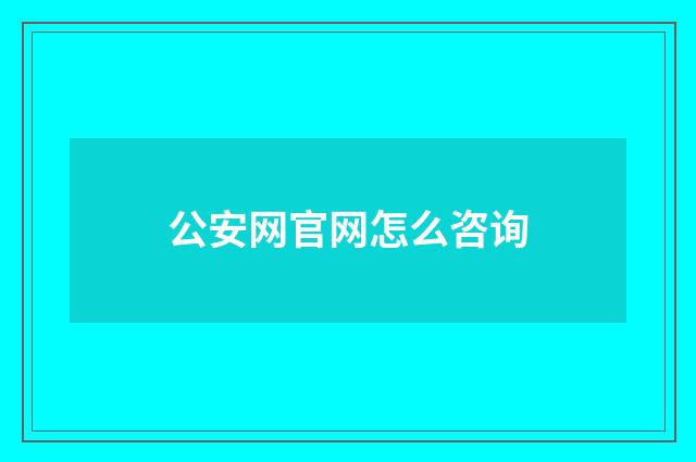 公安网官网怎么咨询