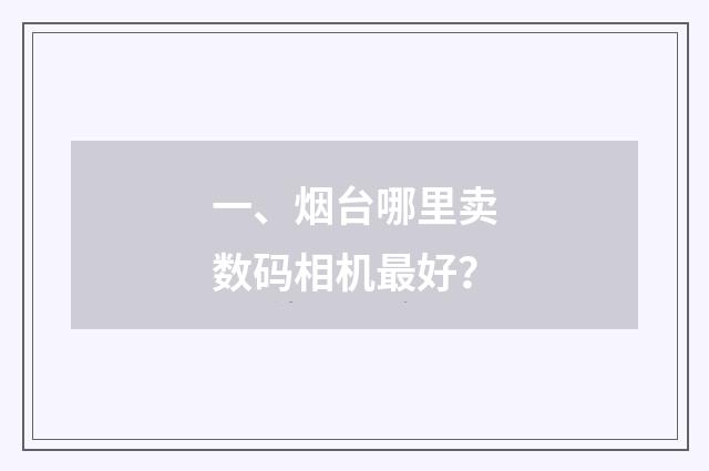 一、烟台哪里卖数码相机最好?