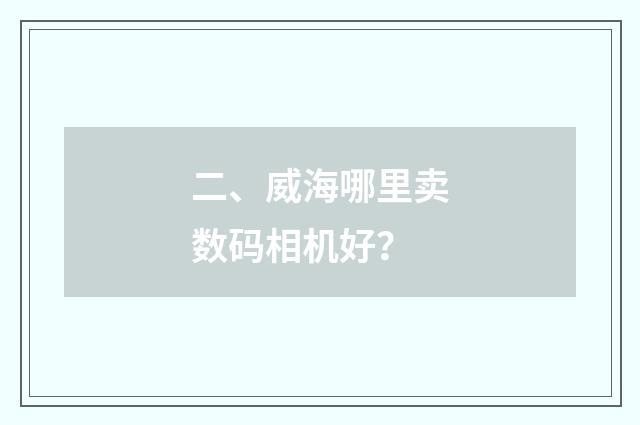 二、威海哪里卖数码相机好？
