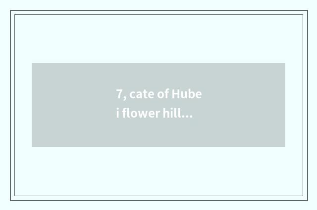 7, cate of Hubei flower hill?