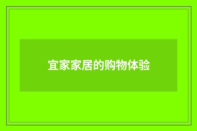 宜家家居的购物体验