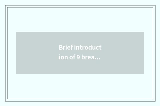 Brief introduction of 9 breath recreation