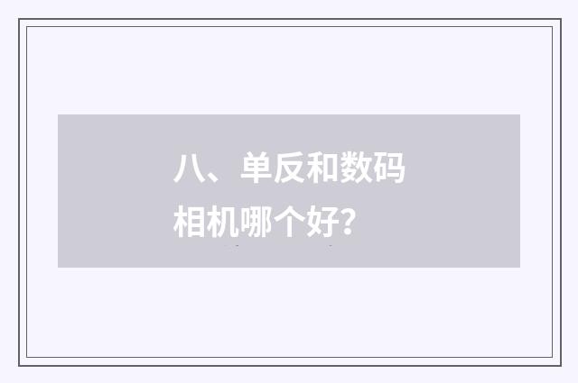 八、单反和数码相机哪个好？