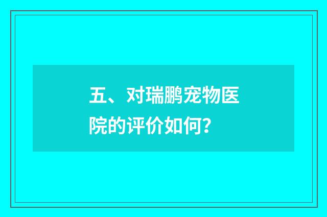 五、对瑞鹏宠物医院的评价如何？