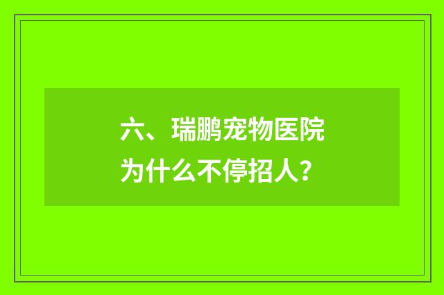 六、瑞鹏宠物医院为什么不停招人？