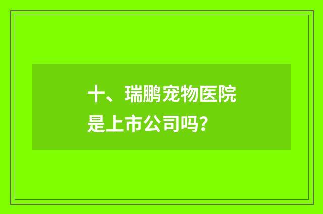 十、瑞鹏宠物医院是上市公司吗？