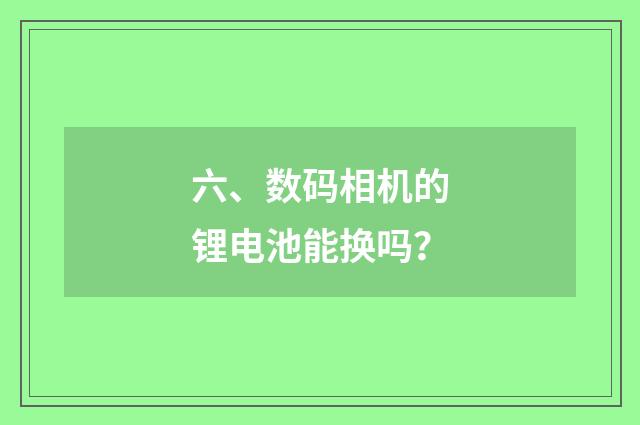 六、数码相机的锂电池能换吗?