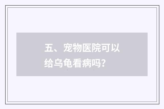 五、宠物医院可以给乌龟看病吗？