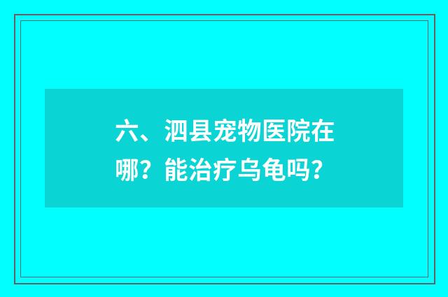 六、泗县宠物医院在哪？能治疗乌龟吗？