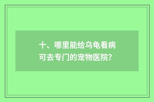 十、哪里能给乌龟看病可去专门的宠物医院？