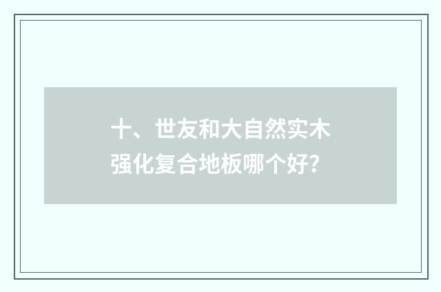 十、世友和大自然实木强化复合地板哪个好？