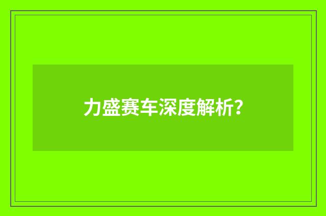力盛赛车深度解析?