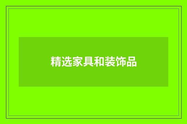 精选家具和装饰品