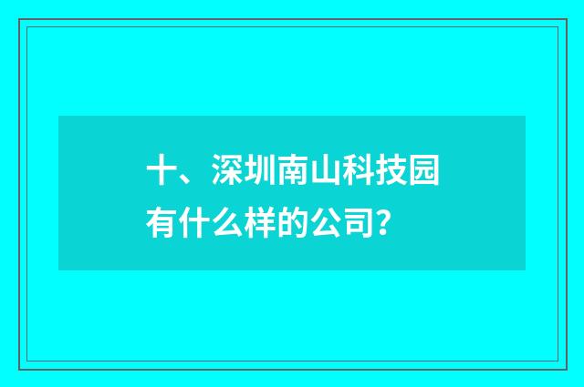 十、深圳南山科技园有什么样的公司？
