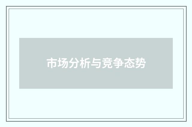 市场分析与竞争态势
